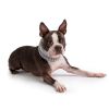 GF Pet Chalet Tube Scarf - Heather Grey - S