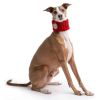 GF Pet Chalet Tube Scarf - Red - M