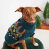 GF Pet Heritage Sweater - Teal - XS