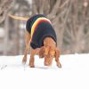 GF Pet Retro Sweater - Navy - M