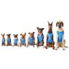 GF Pet Elasto-Fit Ice Vest - Aqua - L