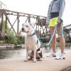 GF Pet Reflective Leash - EEZY-6 - Neon Blue - XS/S