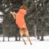 GF Pet Insulated Raincoat - Orange - M