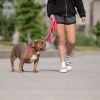 GF PET Reflective Collar - Neon Pink - L WIDE