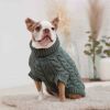 GF Pet Chalet Sweater - Sage - XS