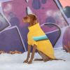 GF Pet Alpine Sweater - Yellow - XS