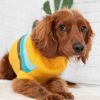 GF Pet Alpine Sweater - Yellow - XS